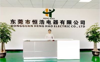 চীন Dongguan Heng Hao Electric Co., Ltd